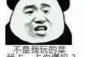 《你不是我的菜》(杨雅惠&张清演唱)的文本歌词及LRC歌词
