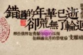 《我们彼此错过的年华》(王铮亮演唱)的文本歌词及LRC歌词