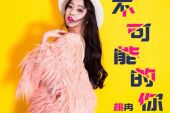《挽留你的借口(feat.大冉)》(汐唏演唱)的文本歌词及LRC歌词