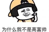 《我不是高富帅》(东东演唱)的文本歌词及LRC歌词