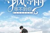 《那天的雨那天的风》(木子烁演唱)的文本歌词及LRC歌词