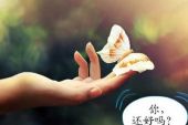 《还好吗》(梁玉婷演唱)的文本歌词及LRC歌词