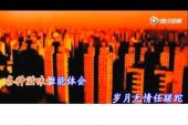 《兄弟你好》(赵华演唱)的文本歌词及LRC歌词