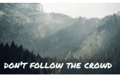 《Don’t Follow The Crowd》(the,HIATUS演唱)的文本歌词及LRC歌词