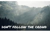 《Don’t Follow The Crowd》(the,HIATUS演唱)的文本歌词及LRC歌词