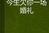 《今生欠你的一切》(六哲演唱)的文本歌词及LRC歌词