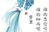 《谁能不思量》(银临演唱)的文本歌词及LRC歌词