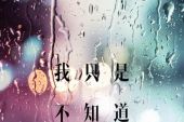 《雨和泪》(刘依纯演唱)的文本歌词及LRC歌词