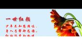 《一世红颜》(关泽楠演唱)的文本歌词及LRC歌词