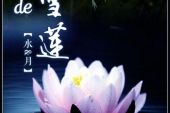 《做你的雪莲》(艾,歌演唱)的文本歌词及LRC歌词