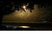《午夜的雨后》(王键演唱)的文本歌词及LRC歌词