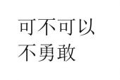 《可不可以不勇敢》(文章演唱)的文本歌词及LRC歌词