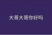 《大哥你好吗》(沈腾/腾格尔演唱)的文本歌词及LRC歌词