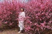 《花开情更浓》(红蔷薇演唱)的文本歌词及LRC歌词