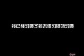《不该习惯的寂寞》(陈雅森演唱)的文本歌词及LRC歌词