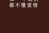 《那一年我们不懂爱情》(王琪演唱)的文本歌词及LRC歌词