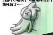 《风儿带回我的思念》(王迪演唱)的文本歌词及LRC歌词