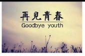 《青春再见》(张辛怡演唱)的文本歌词及LRC歌词