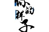 《你的样子》(王胜男演唱)的文本歌词及LRC歌词