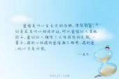 《遇见什么样的爱情》(齐晨演唱)的文本歌词及LRC歌词