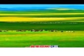 《望草原》(晓晓演唱)的文本歌词及LRC歌词