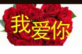 《亲爱的我爱你》(冯志泽&思小玥演唱)的文本歌词及LRC歌词