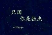 《最美的太阳+勿忘心安+明天过后+会孤单+这就是爱+逆战(Live)》(张杰演唱)的文本歌词及LRC歌词