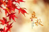 《立秋》(音阙诗听&昆玉演唱)的文本歌词及LRC歌词