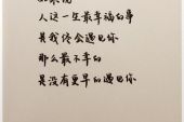《一辈子的幸福》(李鑫雨演唱)的文本歌词及LRC歌词