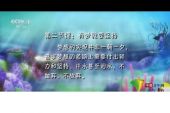 《开学第一课（CCTV1《开学第一课》主题曲）》(TFBOYS演唱)的文本歌词及LRC歌词