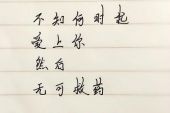 《真的好爱你》(罗愉演唱)的文本歌词及LRC歌词
