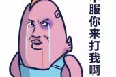 《我也不想这样难过》(蒙面哥演唱)的文本歌词及LRC歌词