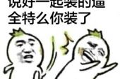 《说好一起的》(蘭雨演唱)的文本歌词及LRC歌词