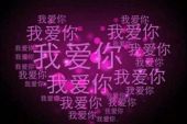 《我会爱你一辈子》(刘,转亮演唱)的文本歌词及LRC歌词