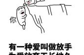 《有一种爱叫做放手》(林霞演唱)的文本歌词及LRC歌词