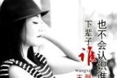 《下辈子谁也不会认识谁》(王馨演唱)的文本歌词及LRC歌词
