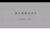 《我没有原谅你》(大壮演唱)的文本歌词及LRC歌词