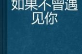 《如果不曾遇见》(望海高歌演唱)的文本歌词及LRC歌词