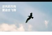 《逆风飞翔》(许庭轩演唱)的文本歌词及LRC歌词