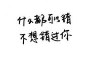 《不想错过》(望海高歌演唱)的文本歌词及LRC歌词