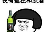 《别再让我孤单寂寞》(望海高歌演唱)的文本歌词及LRC歌词