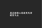 《伤心的泪心里流》(王智涛演唱)的文本歌词及LRC歌词