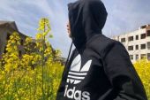 《近情情怯》(王馨平演唱)的文本歌词及LRC歌词