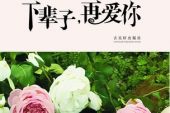 《下辈子我还爱你》(王妤兮演唱)的文本歌词及LRC歌词