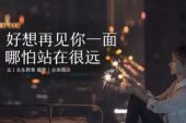 《好想再见你一面》(暴林演唱)的文本歌词及LRC歌词