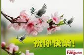《祝你快乐》(阿杜演唱)的文本歌词及LRC歌词
