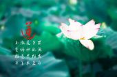 《莲说》(黄绮珊演唱)的文本歌词及LRC歌词
