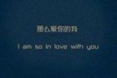 《爱你的我》(王杰演唱)的文本歌词及LRC歌词