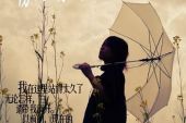 《孤单的情人节下着伤心的雨》(王建荣演唱)的文本歌词及LRC歌词