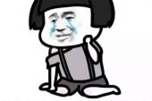 《想走的人不会留》(王鹤铮演唱)的文本歌词及LRC歌词